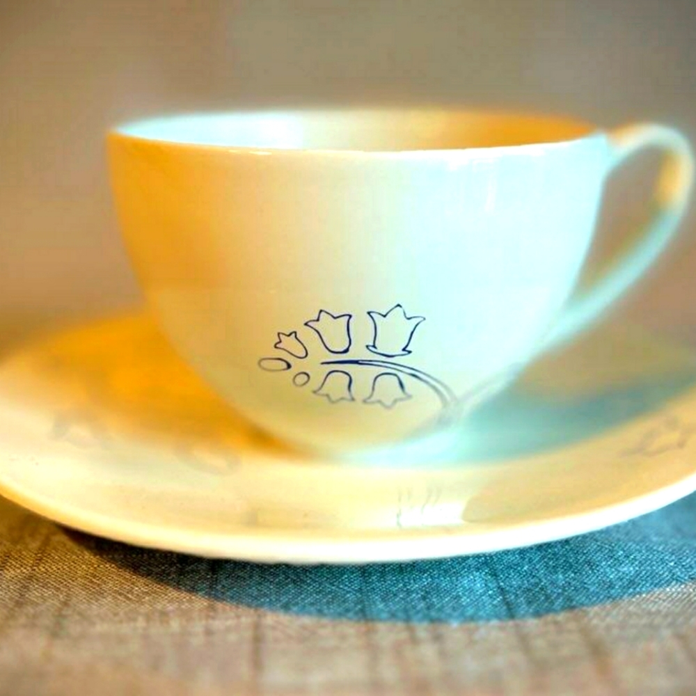 Ikea coffee cup and saucer.